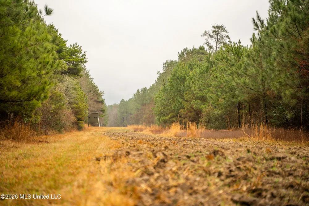 County Road 8 Laurel, MS 39443