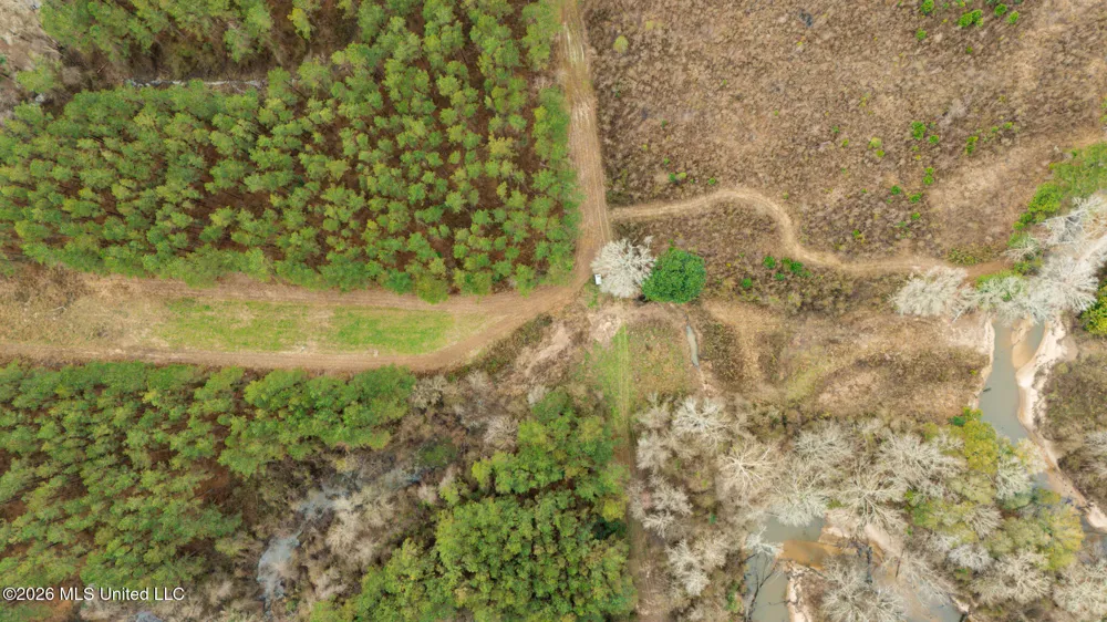 County Road 8 Laurel, MS 39443
