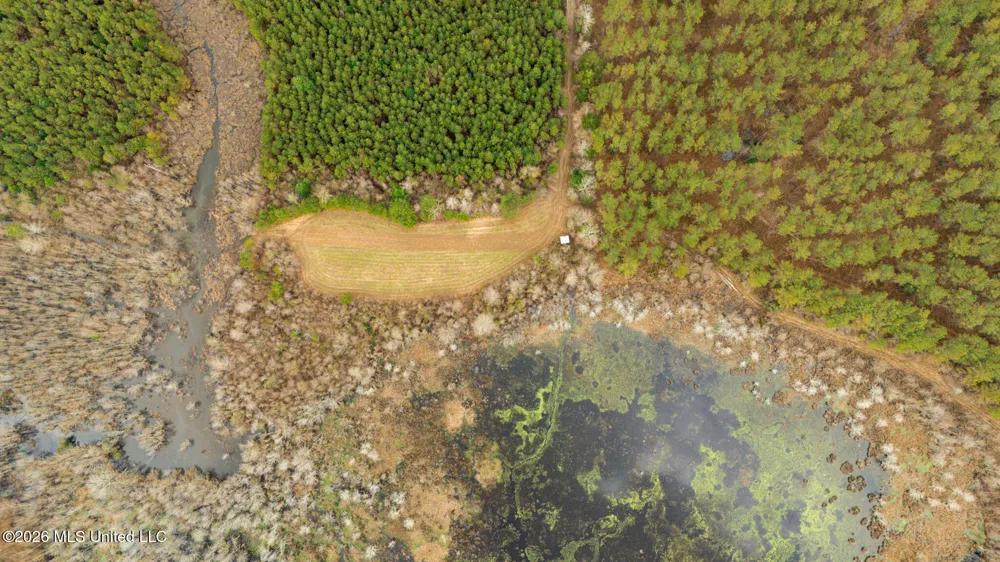 County Road 8 Laurel, MS 39443