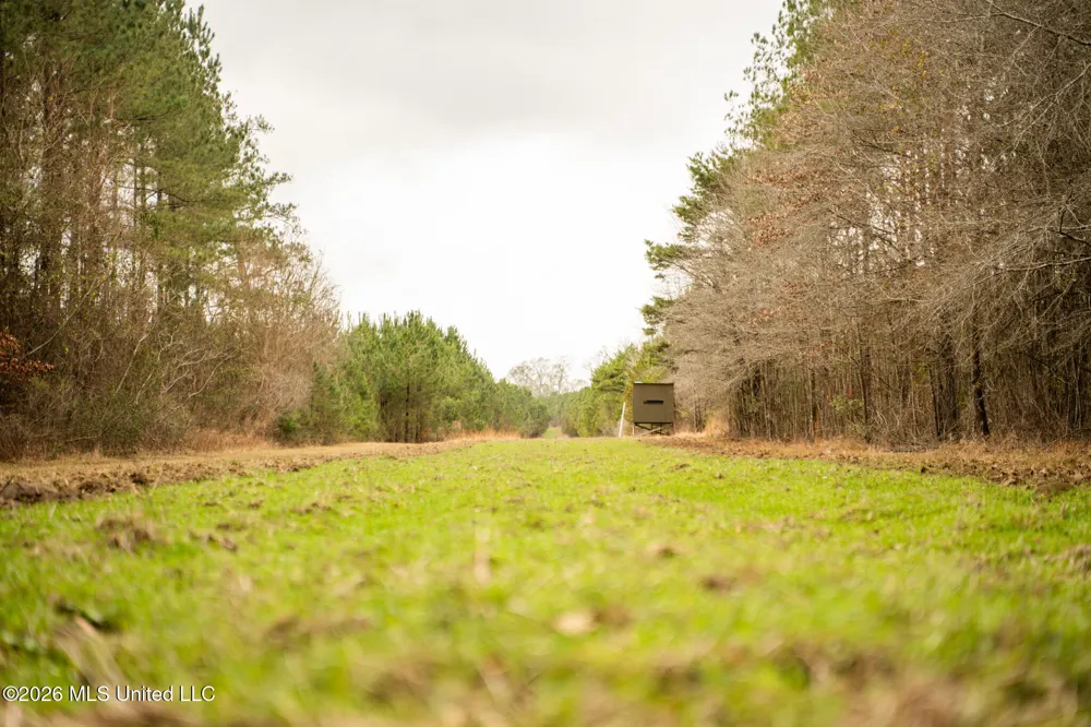 County Road 8 Laurel, MS 39443