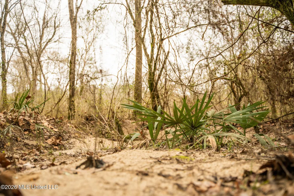 County Road 8 Laurel, MS 39443