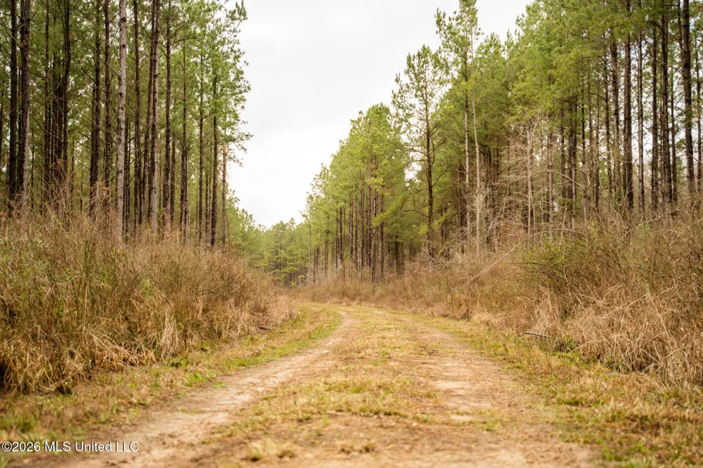 County Road 8 Laurel, MS 39443