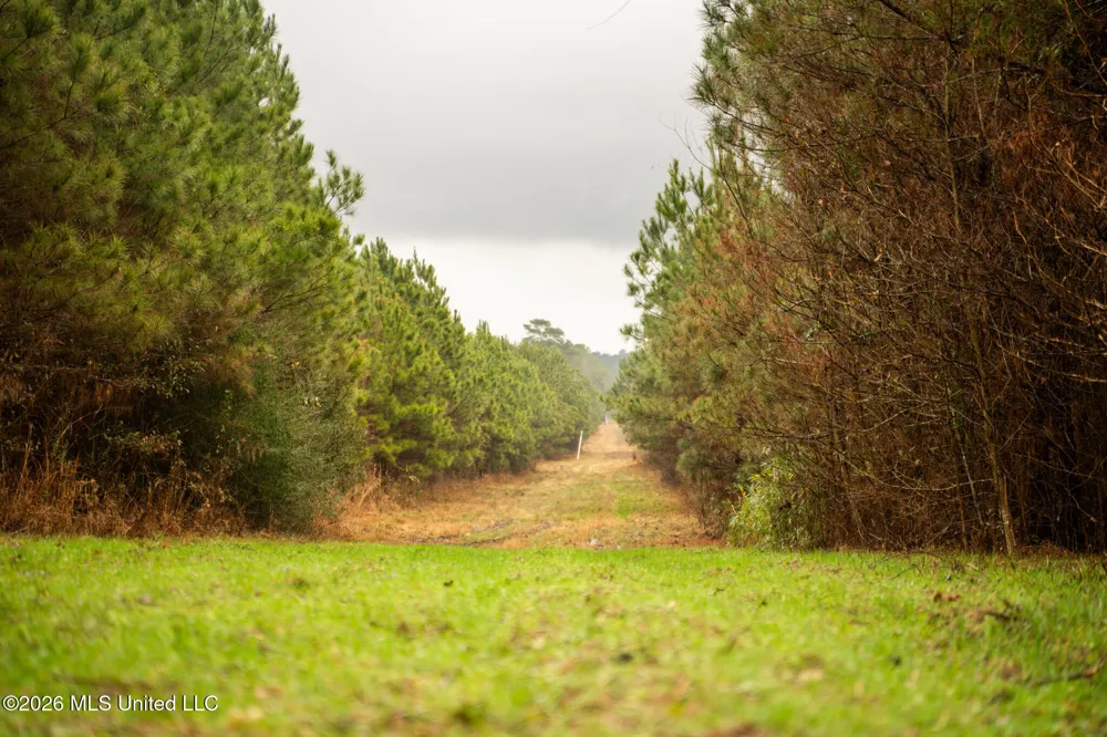 County Road 8 Laurel, MS 39443