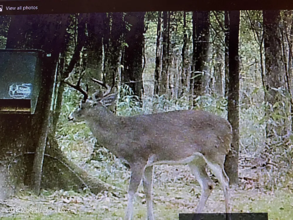 County Road 8 Laurel, MS 39443