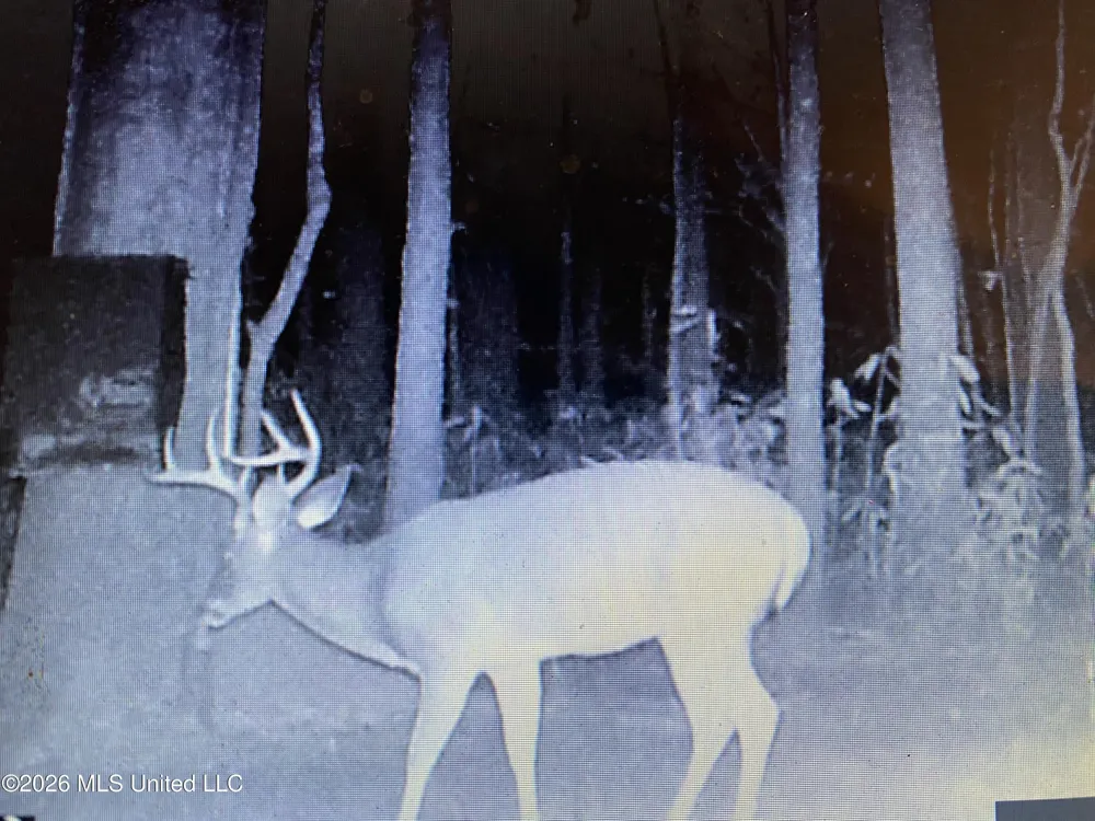 County Road 8 Laurel, MS 39443
