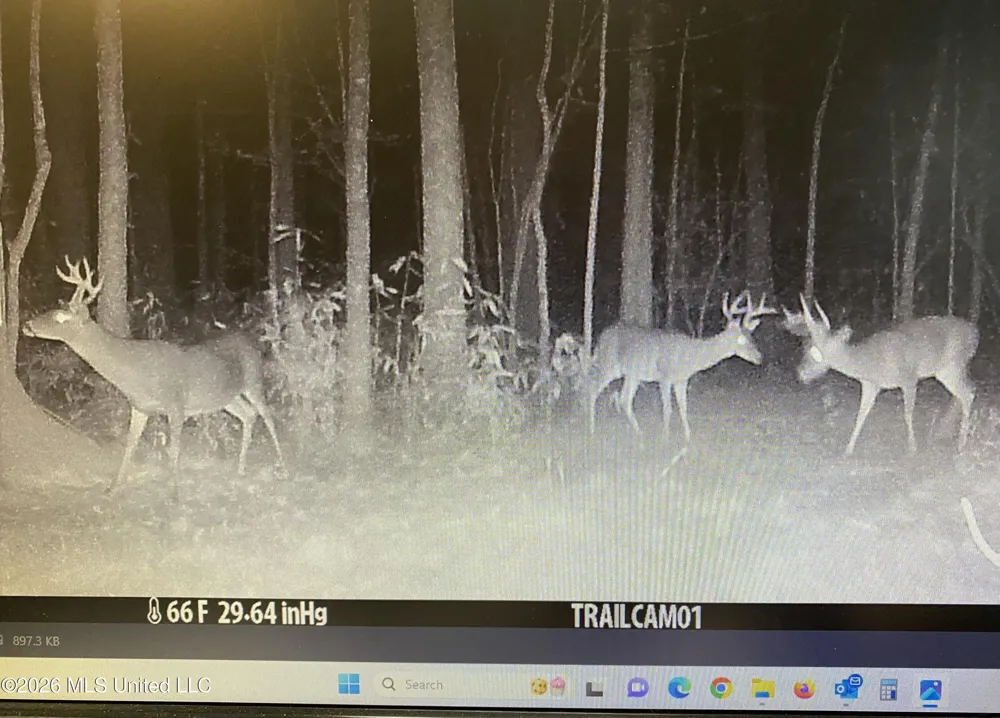 County Road 8 Laurel, MS 39443