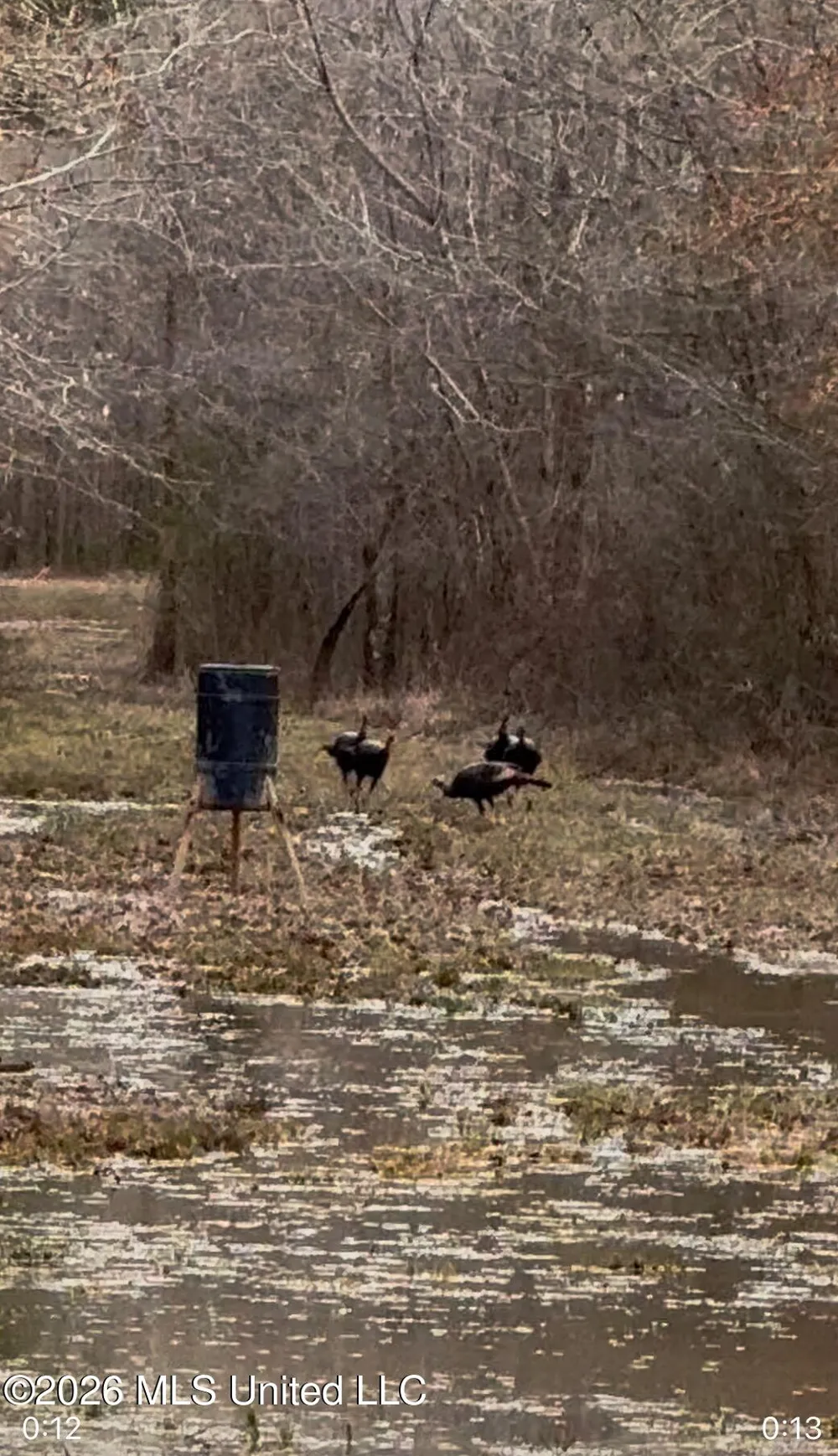 County Road 8 Laurel, MS 39443