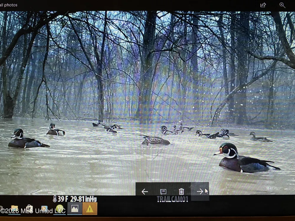 County Road 8 Laurel, MS 39443