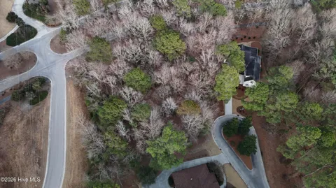175 Southern Magnolia Lane