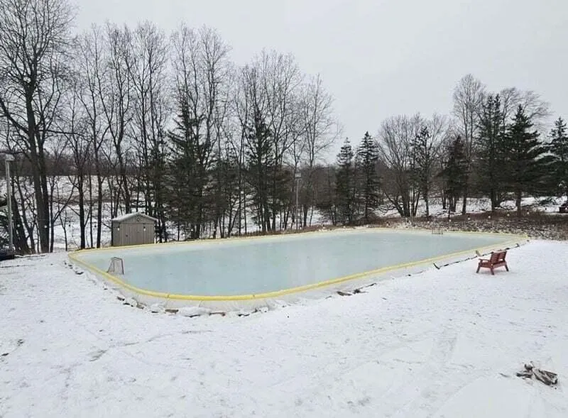 11270 Apache Wells Court Canadian Lakes, MI 49346