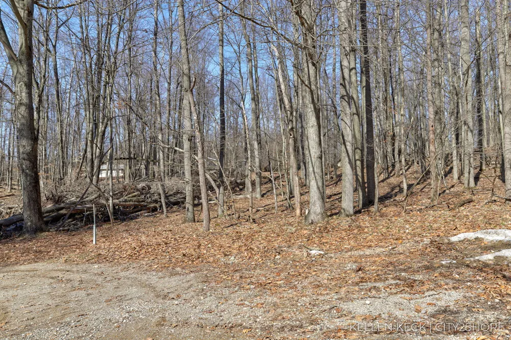 11270 Apache Wells Court Canadian Lakes, MI 49346