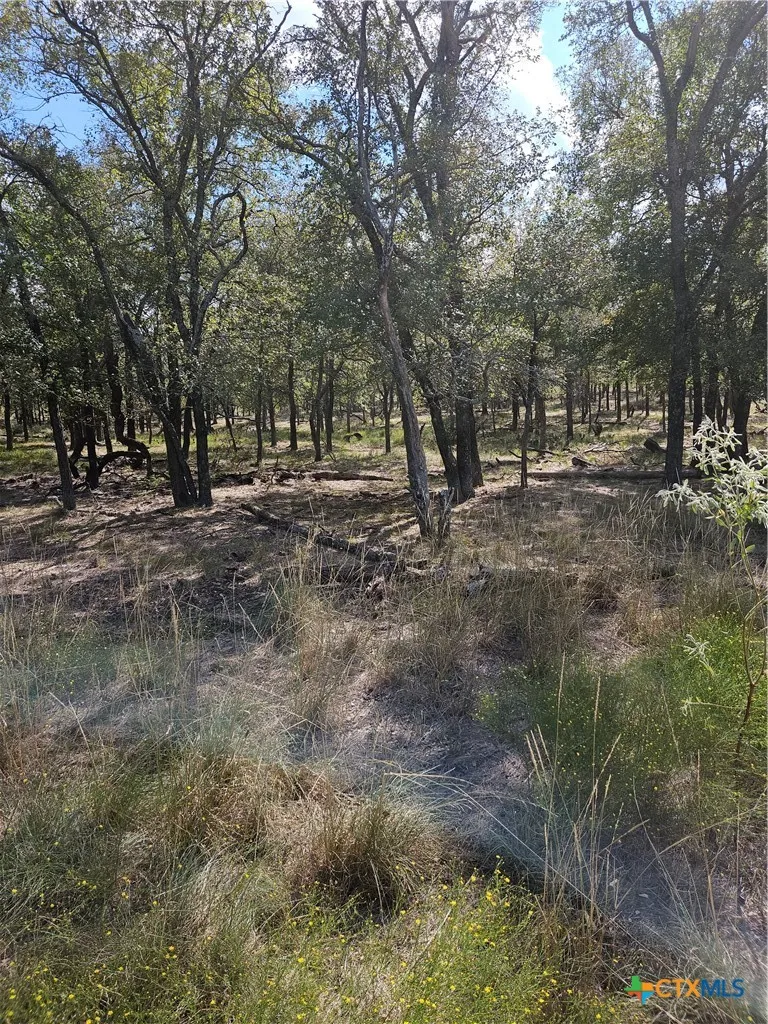 1988 CR 116 Rogers, TX 76569