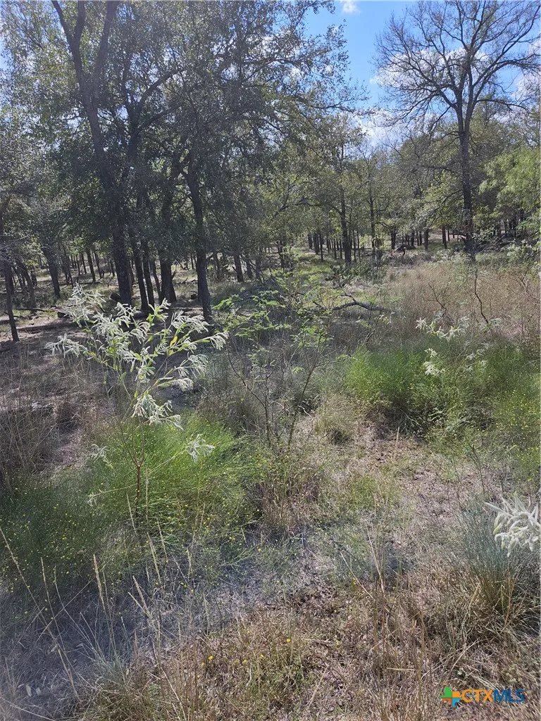 1988 CR 116 Rogers, TX 76569