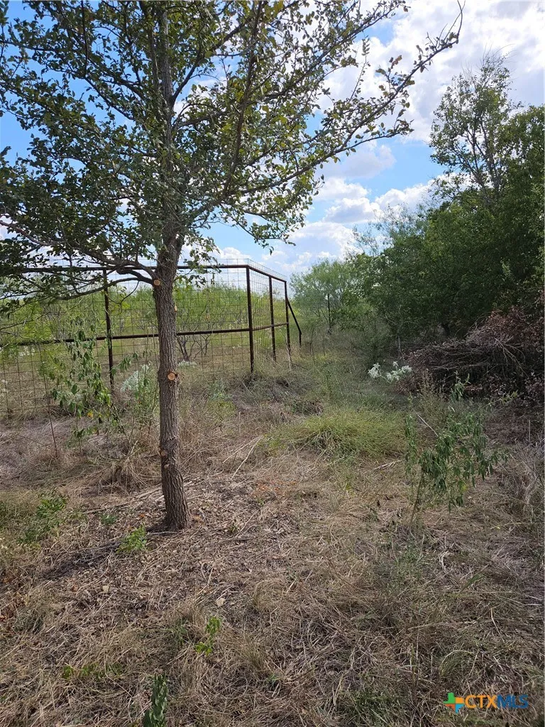 1988 CR 116 Rogers, TX 76569