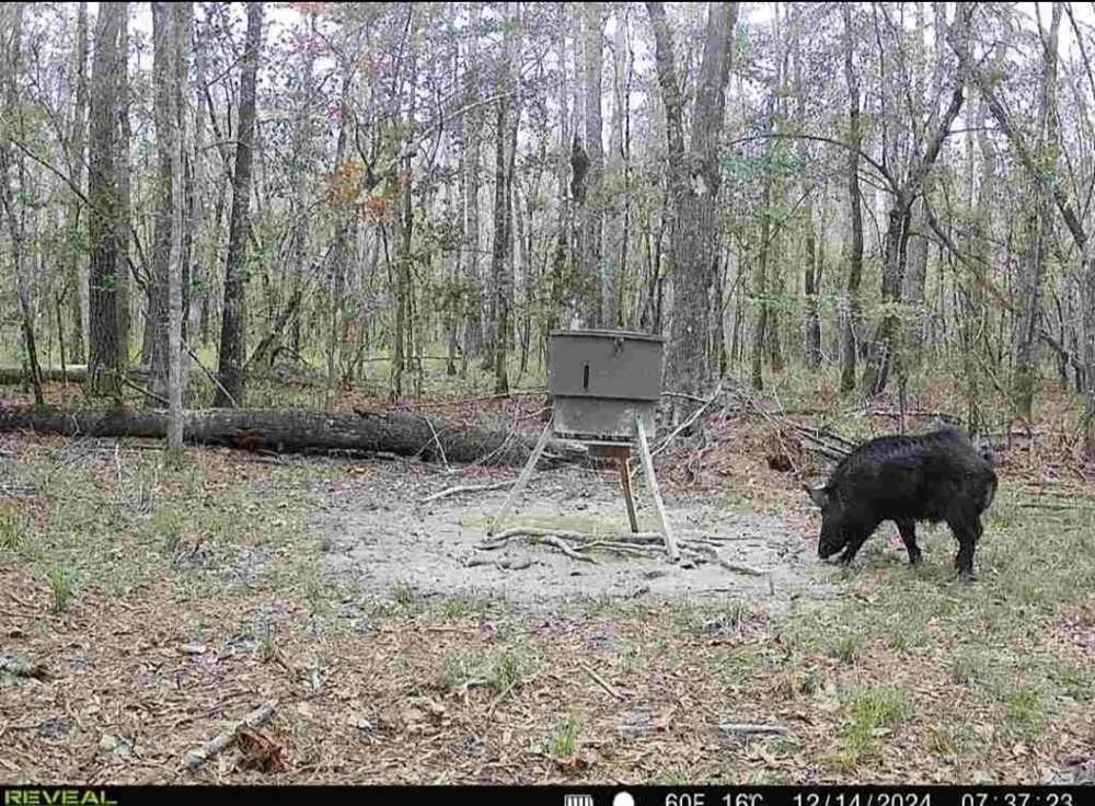 1793 County Road 3132 Buna, TX 77612