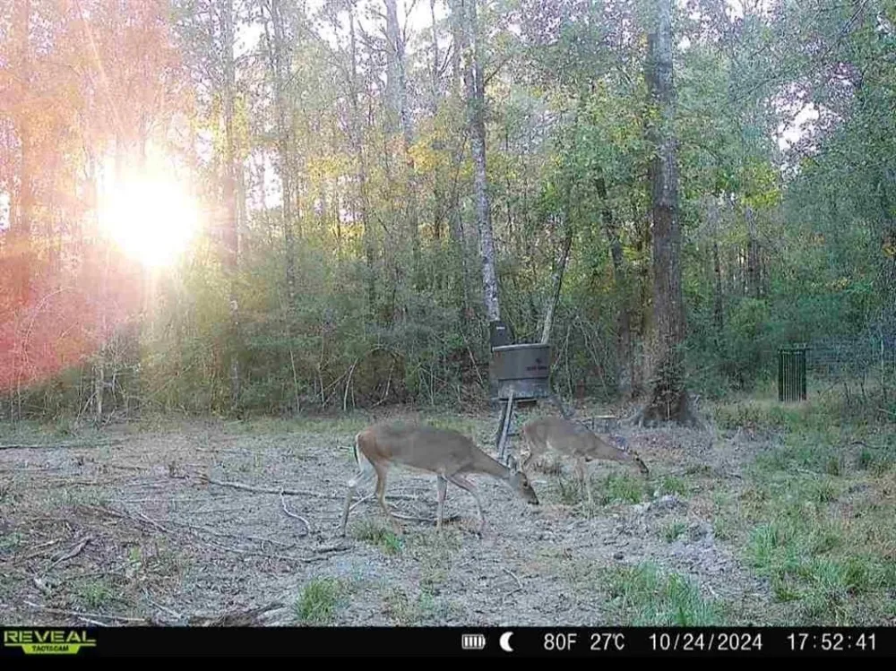 1793 County Road 3132 Buna, TX 77612