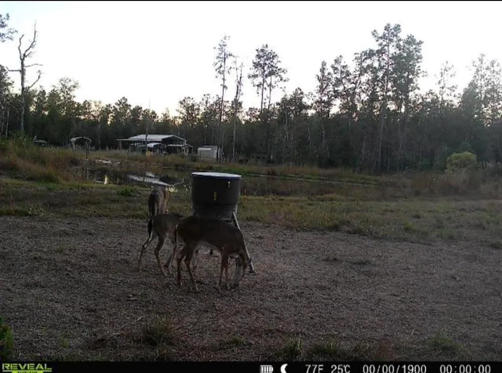 1793 County Road 3132 Buna, TX 77612