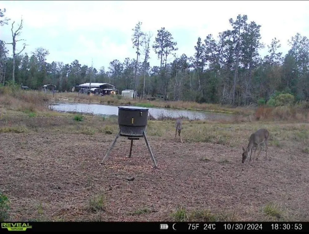 1793 County Road 3132 Buna, TX 77612