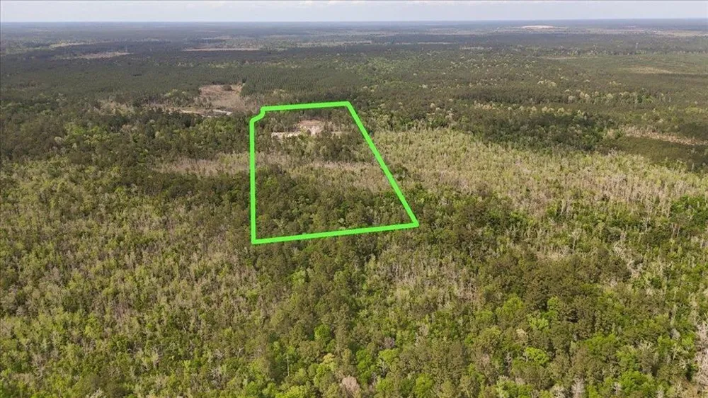 1793 County Road 3132 Buna, TX 77612