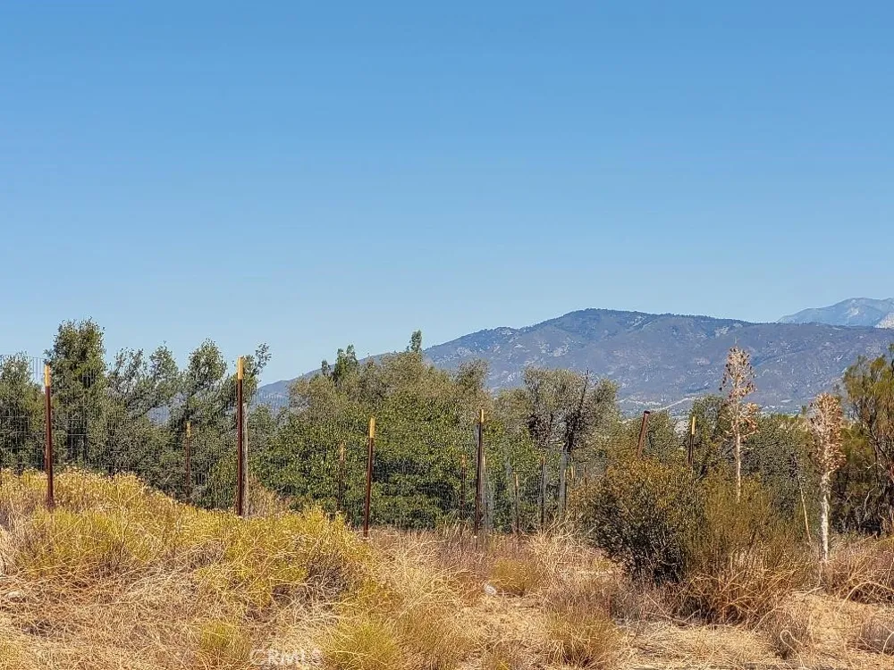 Terwilliger Road Anza, CA 92539