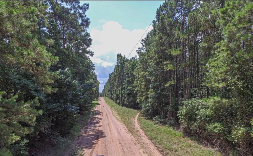 Hickman Road Corrigan, TX 75939