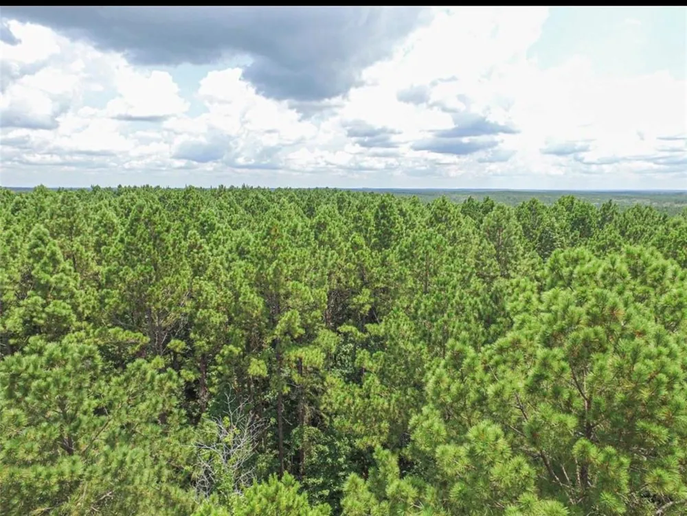 Hickman Road Corrigan, TX 75939