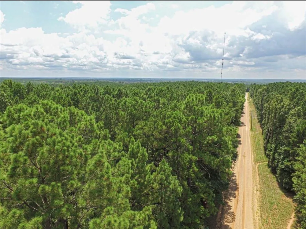 Hickman Road Corrigan, TX 75939