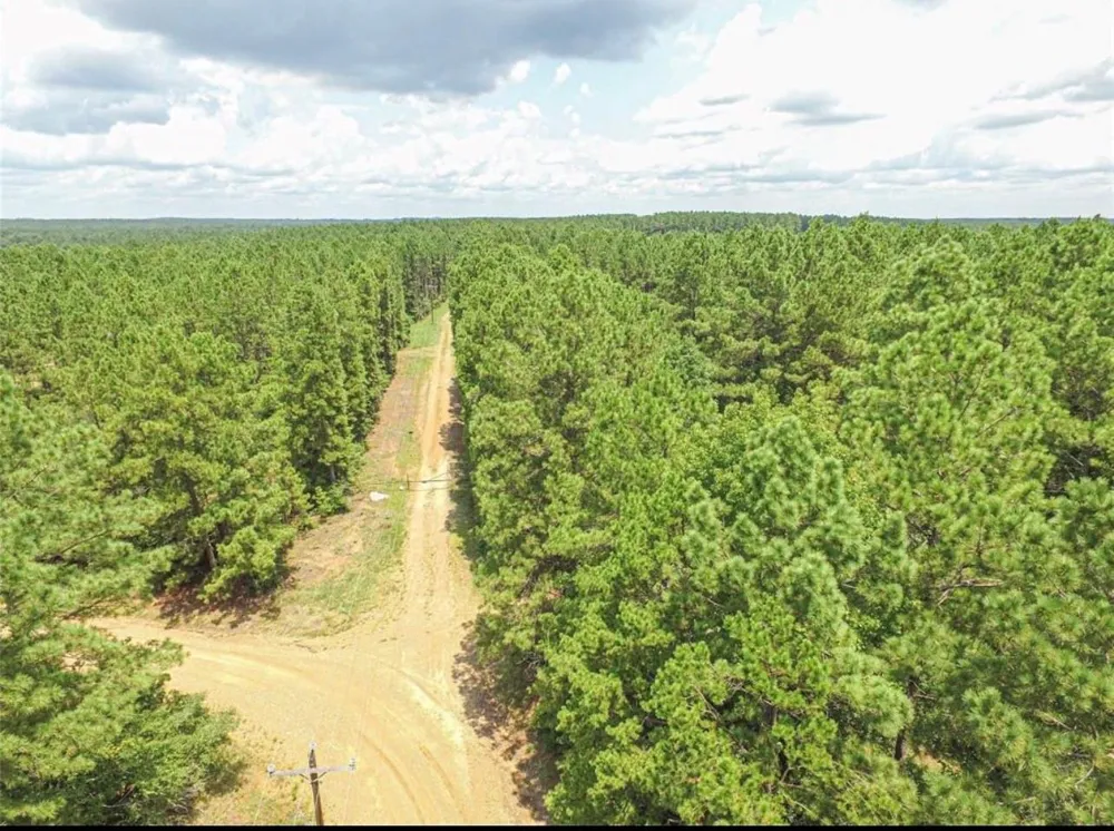 Hickman Road Corrigan, TX 75939