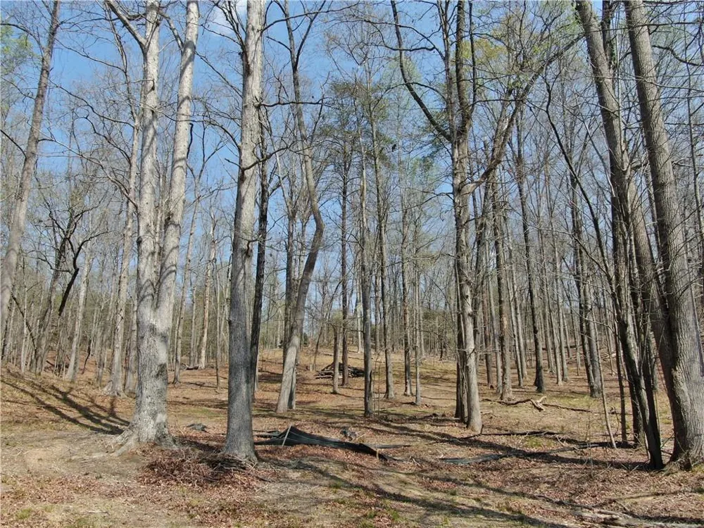 918 Purvis Road Baldwin, GA 30511