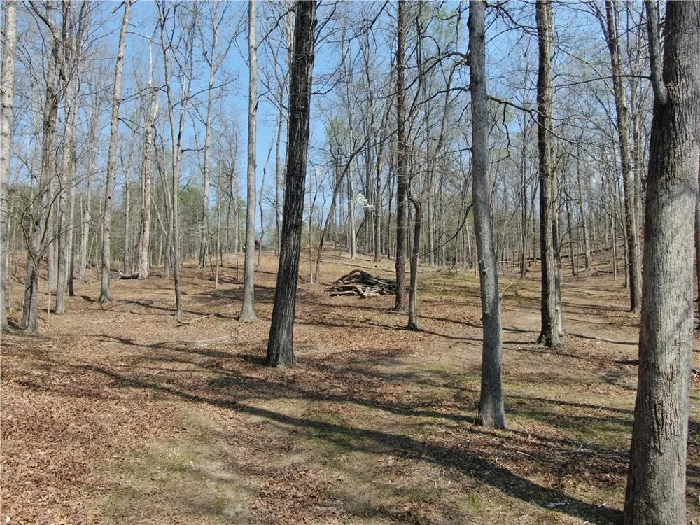 918 Purvis Road Baldwin, GA 30511