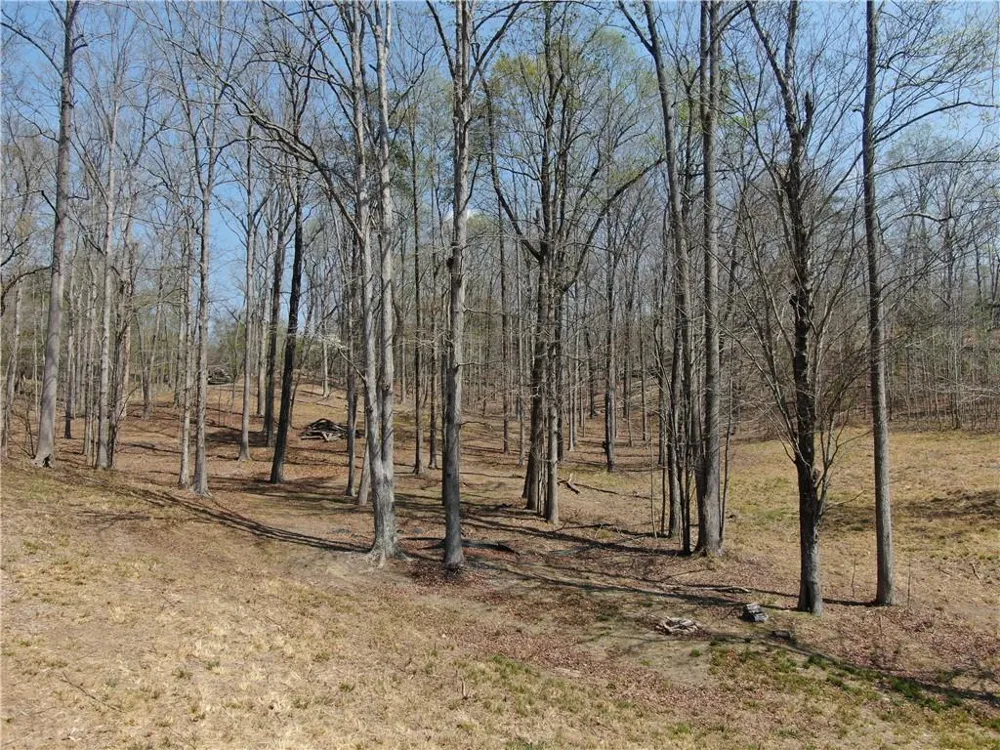 918 Purvis Road Baldwin, GA 30511