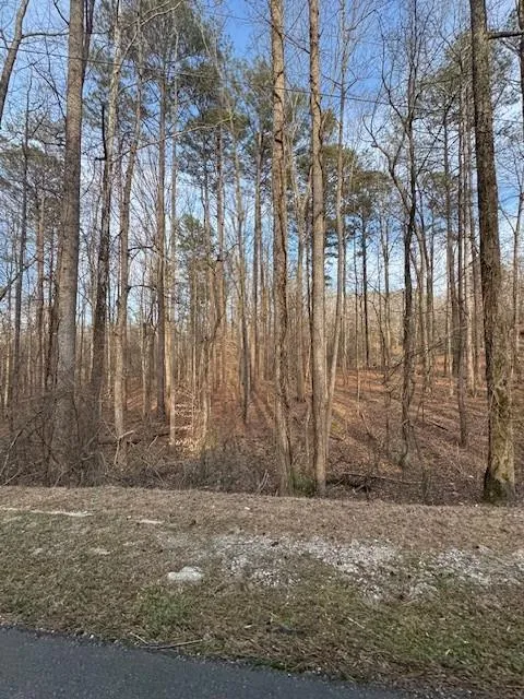 00 Cascade Palmetto Highway