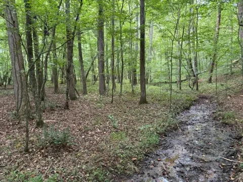 5741 Five Notch Trail