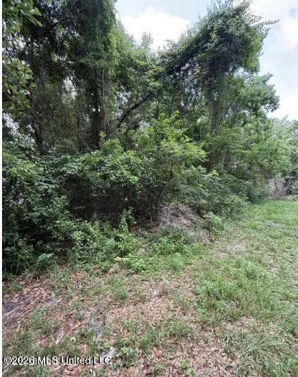 0 Wright Avenue Long Beach, MS 39560