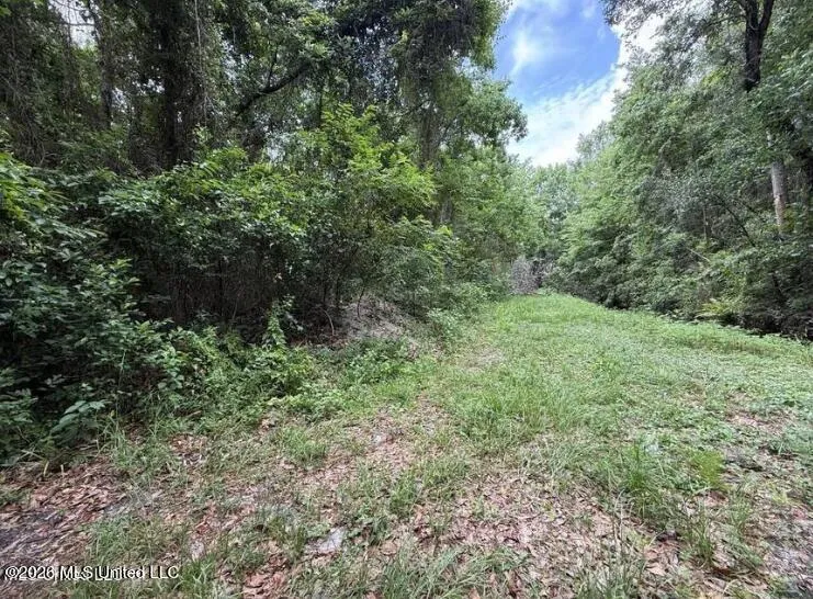 0 Wright Avenue Long Beach, MS 39560