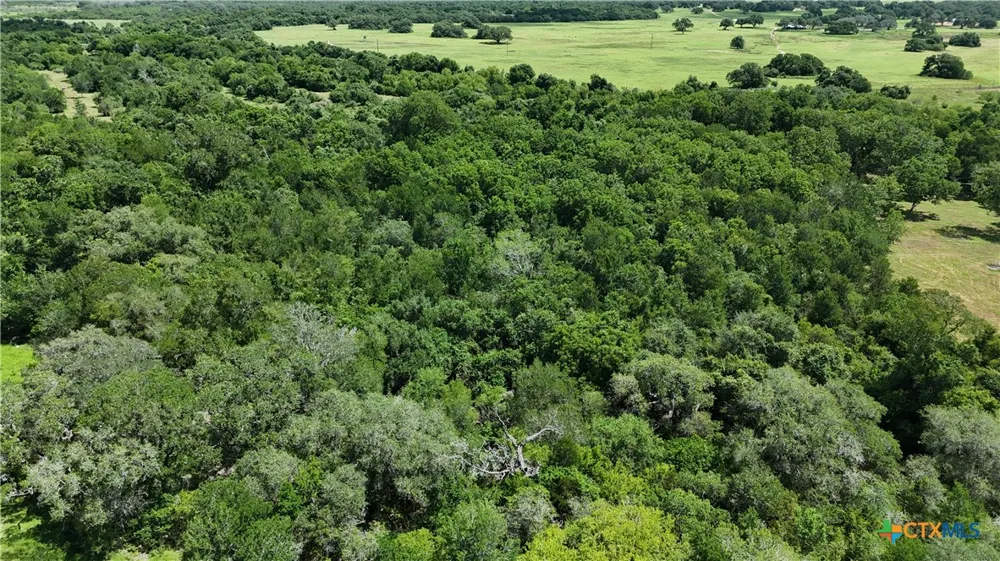 752 Lassman Road Goliad, TX 77963
