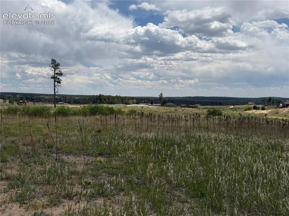 13810 Wildoak Drive Black Forest, CO 80908