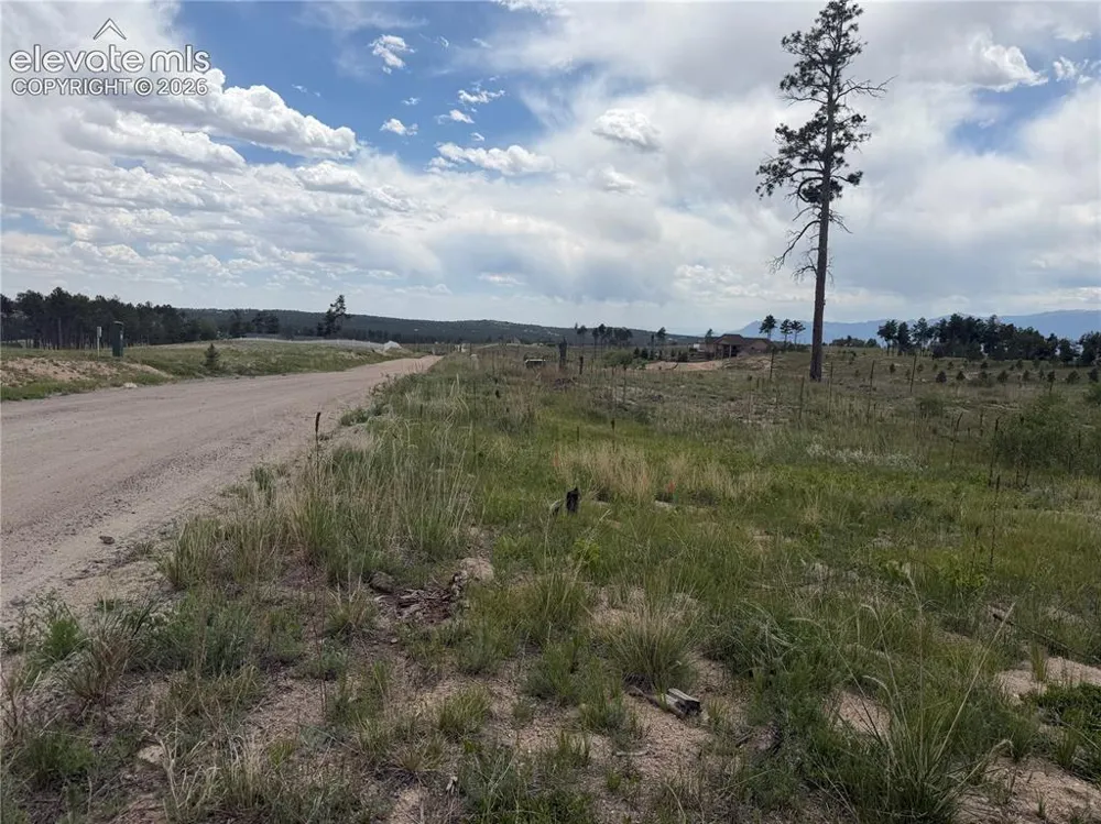 13810 Wildoak Drive Black Forest, CO 80908