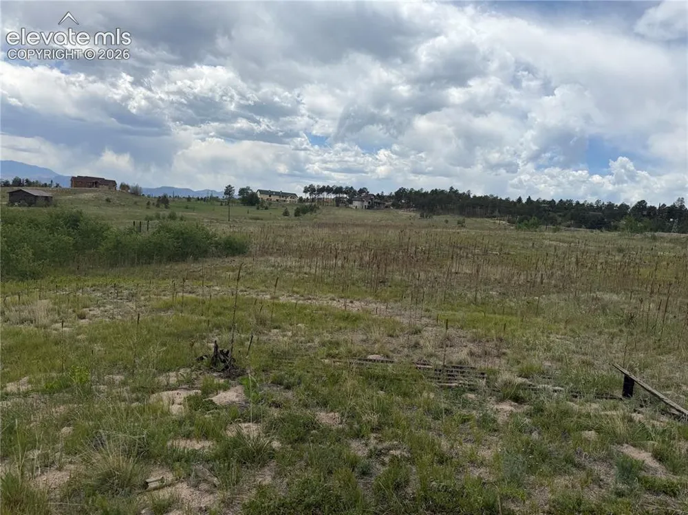 13810 Wildoak Drive Black Forest, CO 80908