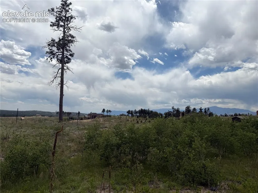 13810 Wildoak Drive Black Forest, CO 80908