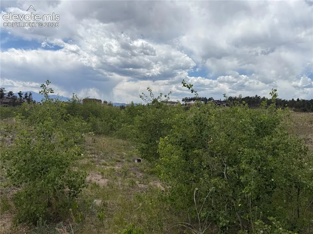 13810 Wildoak Drive Black Forest, CO 80908