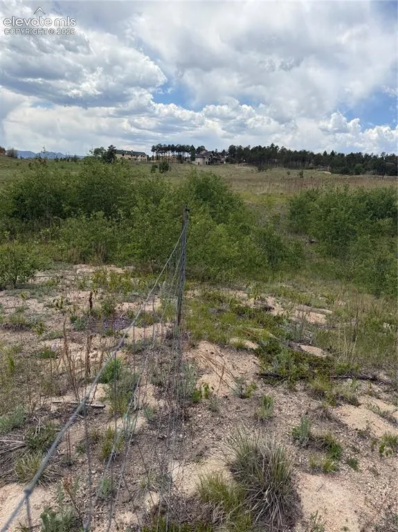 13810 Wildoak Drive Black Forest, CO 80908