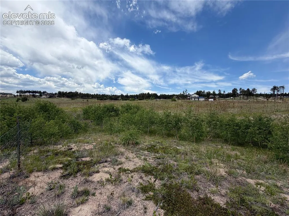 13810 Wildoak Drive Black Forest, CO 80908