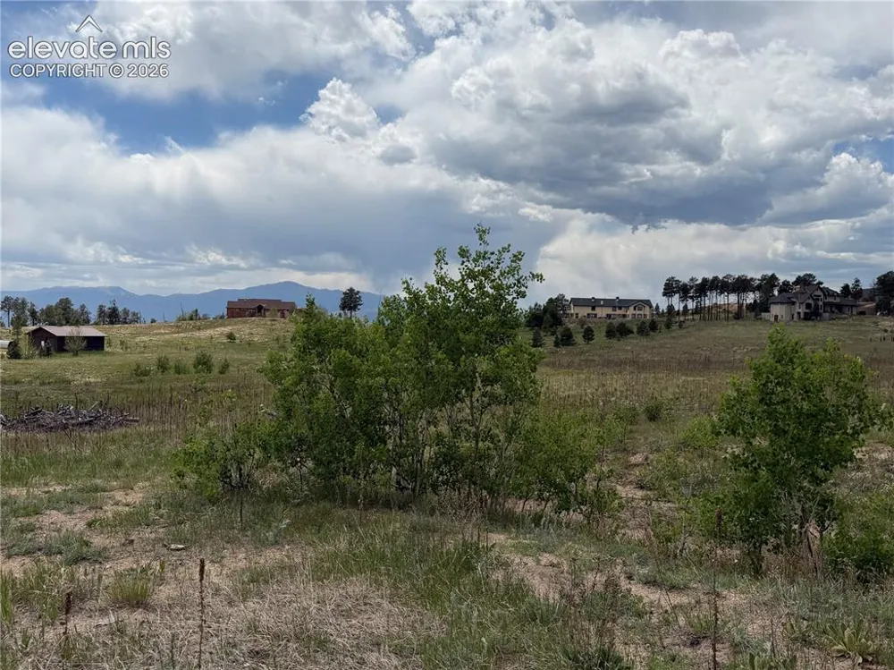 13810 Wildoak Drive Black Forest, CO 80908