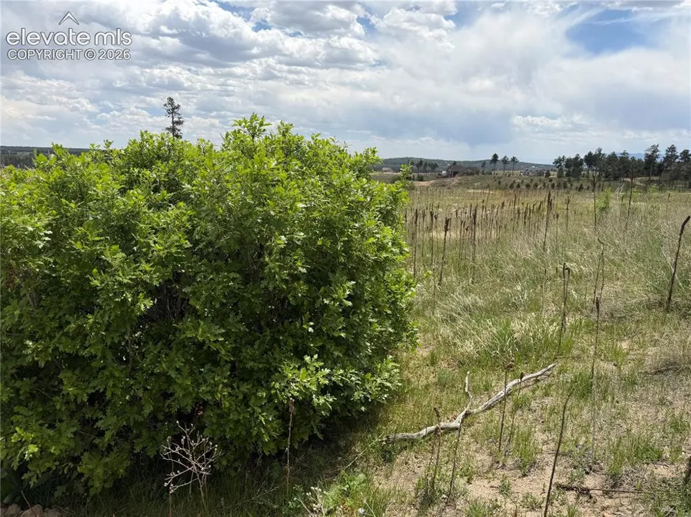 13810 Wildoak Drive Black Forest, CO 80908