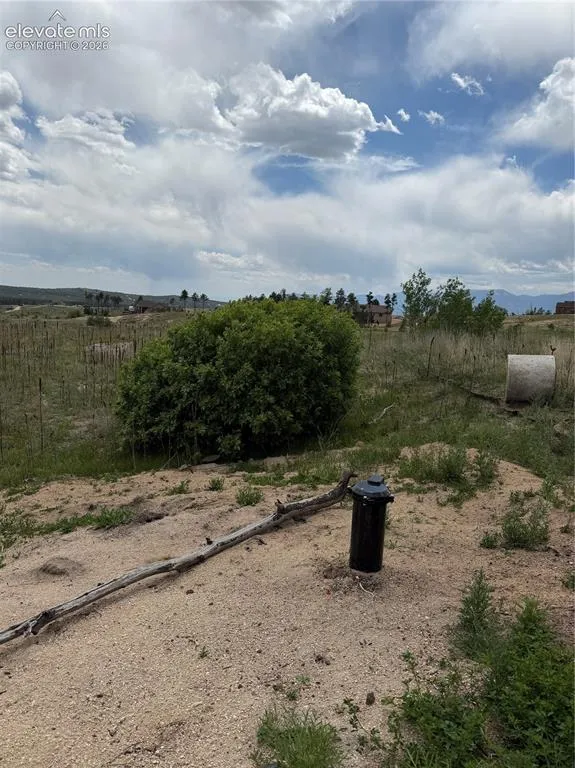 13810 Wildoak Drive Black Forest, CO 80908