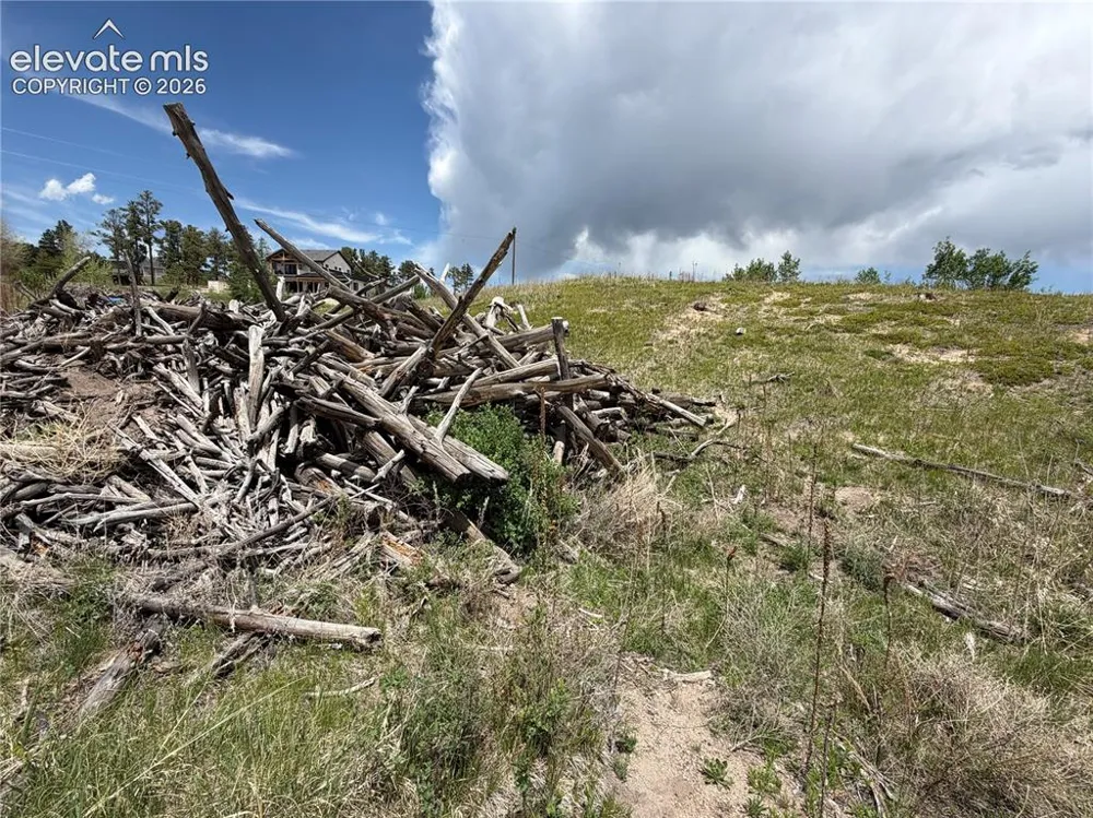 13810 Wildoak Drive Black Forest, CO 80908