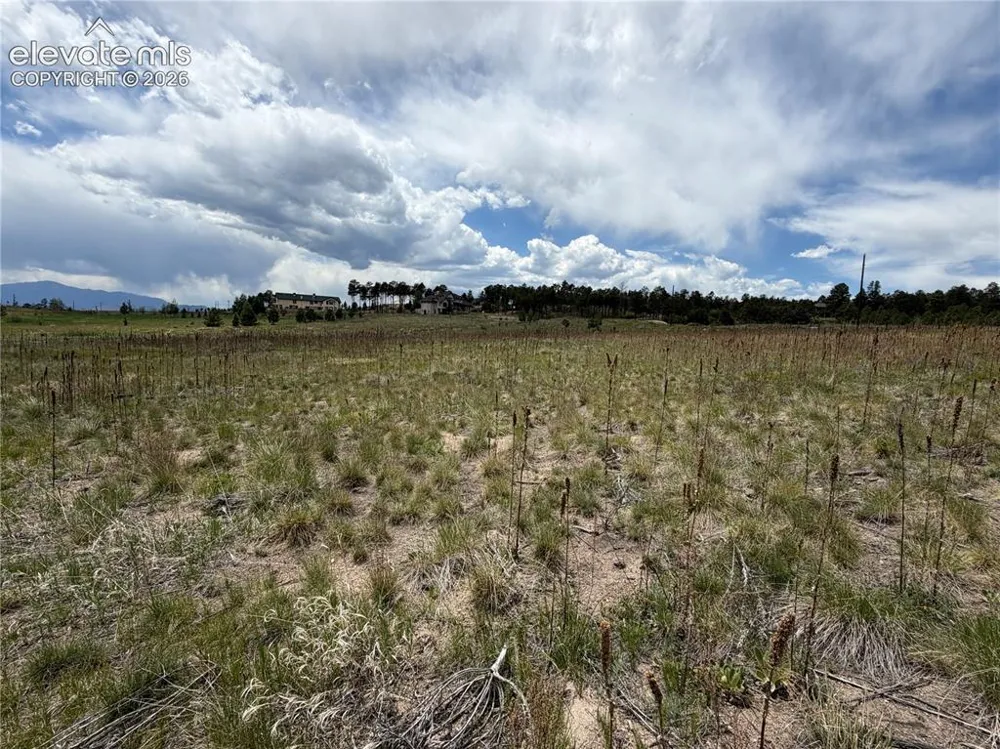 13810 Wildoak Drive Black Forest, CO 80908