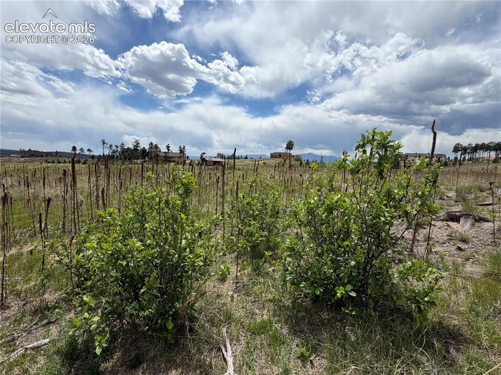13810 Wildoak Drive Black Forest, CO 80908