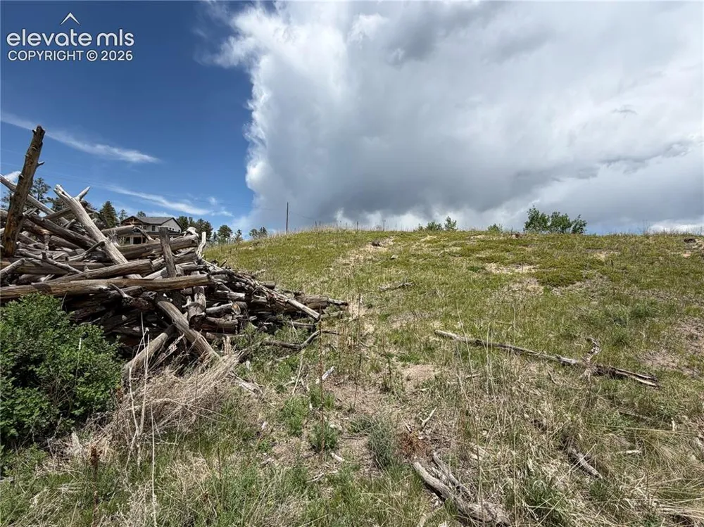 13810 Wildoak Drive Black Forest, CO 80908
